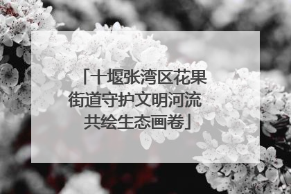 十堰张湾区花果街道守护文明河流 共绘生态画卷