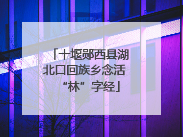 十堰郧西县湖北口回族乡念活“林”字经