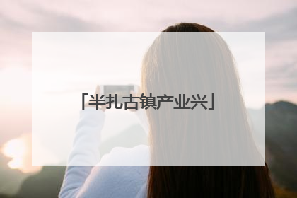 半扎古镇产业兴