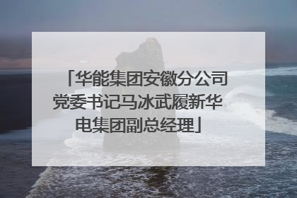 华能集团安徽分公司党委书记马冰武履新华电集团副总经理