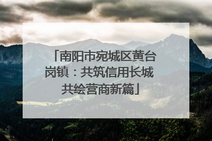 南阳市宛城区黄台岗镇：共筑信用长城 共绘营商新篇