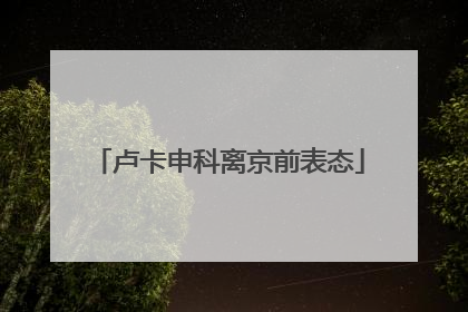 卢卡申科离京前表态