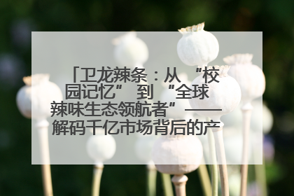 卫龙辣条：从 “校园记忆” 到 “全球辣味生态领航者”——解码千亿市场背后的产品创新与全链路破圈