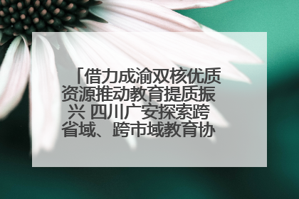 借力成渝双核优质资源推动教育提质振兴 四川广安探索跨省域、跨市域教育协同发展新路径