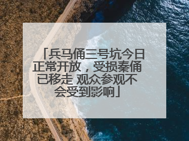 兵马俑三号坑今日正常开放，受损秦俑已移走 观众参观不会受到影响