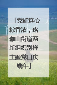 党群连心粽香浓，珞珈山街道两新组织别样主题党日庆端午