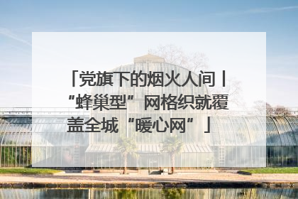 党旗下的烟火人间丨“蜂巢型”网格织就覆盖全城“暖心网”