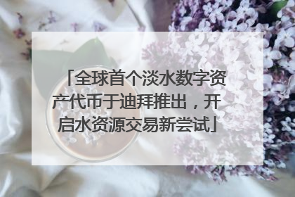 全球首个淡水数字资产代币于迪拜推出，开启水资源交易新尝试