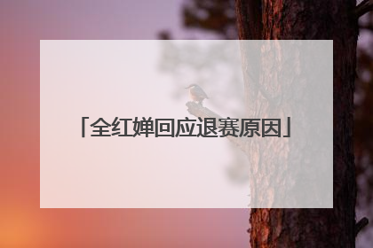 全红婵回应退赛原因