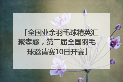 全国业余羽毛球精英汇聚孝感，第二届全国羽毛球邀请赛10日开赛