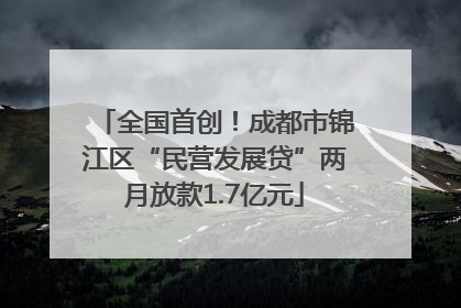 全国首创！成都市锦江区“民营发展贷”两月放款1.7亿元