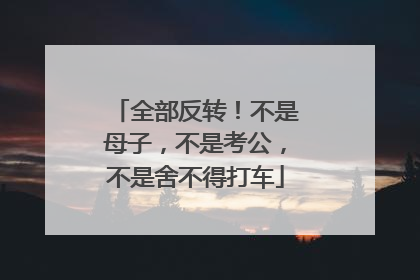 全部反转！不是母子，不是考公，不是舍不得打车