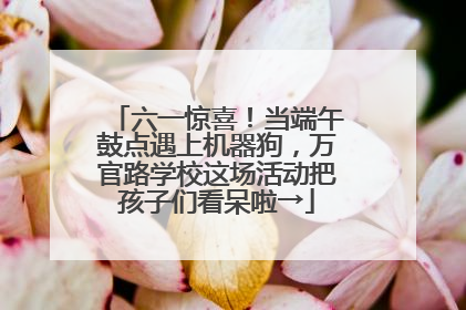 六一惊喜！当端午鼓点遇上机器狗，万官路学校这场活动把孩子们看呆啦→