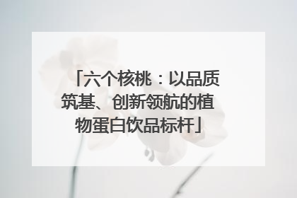 六个核桃：以品质筑基、创新领航的植物蛋白饮品标杆