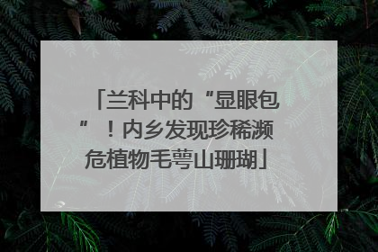 兰科中的“显眼包”！内乡发现珍稀濒危植物毛萼山珊瑚