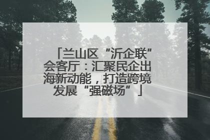 兰山区“沂企联”会客厅：汇聚民企出海新动能，打造跨境发展“强磁场”