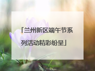 兰州新区端午节系列活动精彩纷呈