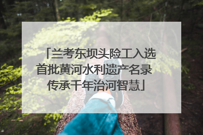 兰考东坝头险工入选首批黄河水利遗产名录 传承千年治河智慧