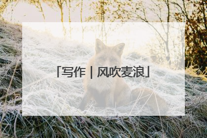 写作｜风吹麦浪