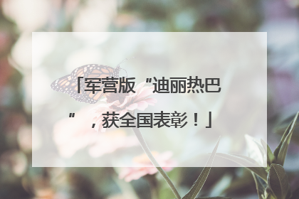 军营版“迪丽热巴”，获全国表彰！
