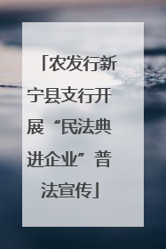农发行新宁县支行开展“民法典进企业”普法宣传