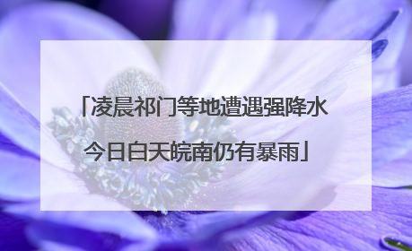 凌晨祁门等地遭遇强降水 今日白天皖南仍有暴雨