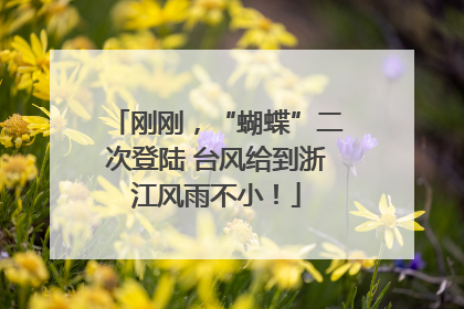 刚刚，“蝴蝶”二次登陆 台风给到浙江风雨不小！