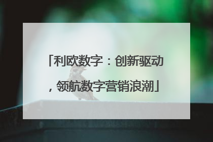 利欧数字：创新驱动，领航数字营销浪潮