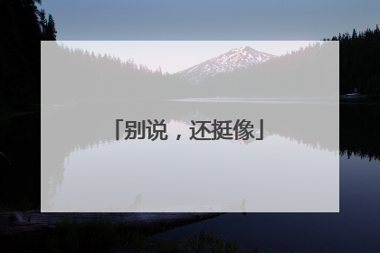 别说，还挺像
