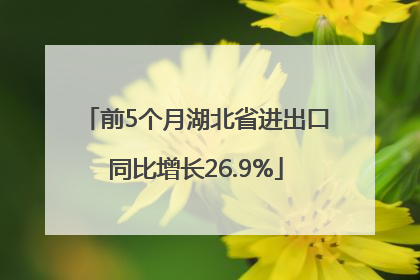 前5个月湖北省进出口同比增长26.9%