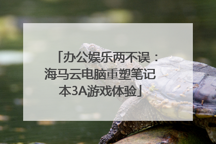 办公娱乐两不误：海马云电脑重塑笔记本3A游戏体验