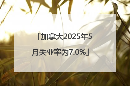 加拿大2025年5月失业率为7.0%