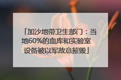 加沙地带卫生部门：当地60%的血库和实验室设备被以军故意摧毁