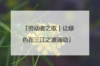 劳动者之歌｜让绿色在三江之源涌动