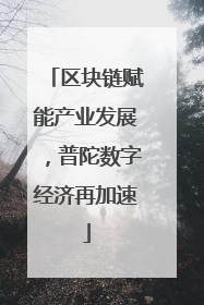 区块链赋能产业发展，普陀数字经济再加速