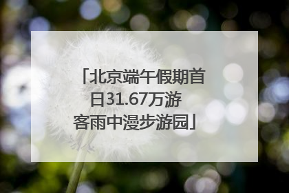 北京端午假期首日31.67万游客雨中漫步游园