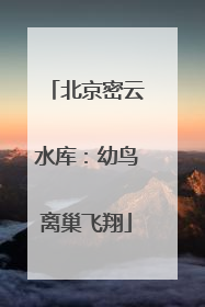 北京密云水库：幼鸟离巢飞翔