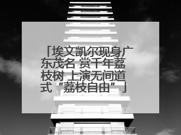 埃文凯尔现身广东茂名 赏千年荔枝树 上演无间道式“荔枝自由”