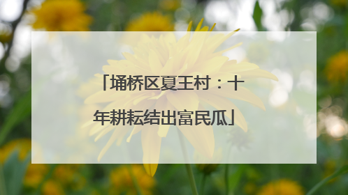 埇桥区夏王村：十年耕耘结出富民瓜