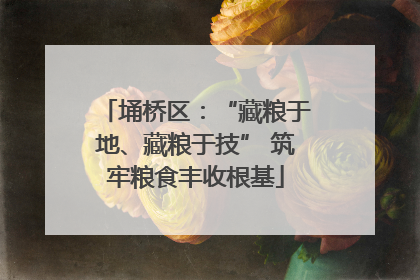 埇桥区：“藏粮于地、藏粮于技” 筑牢粮食丰收根基