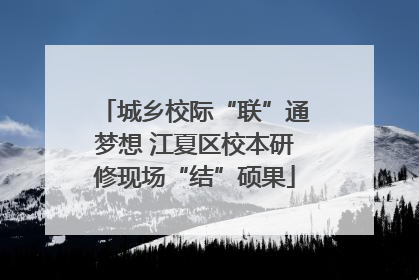 城乡校际“联”通梦想 江夏区校本研修现场“结”硕果