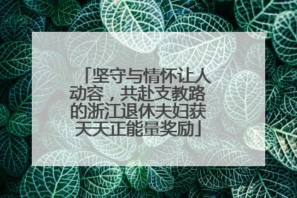 坚守与情怀让人动容，共赴支教路的浙江退休夫妇获天天正能量奖励