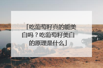 吃葡萄籽真的能美白吗？吃葡萄籽美白的原理是什么