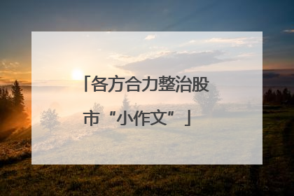 各方合力整治股市“小作文”