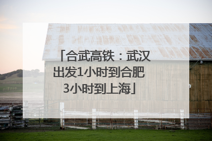 合武高铁：武汉出发1小时到合肥3小时到上海
