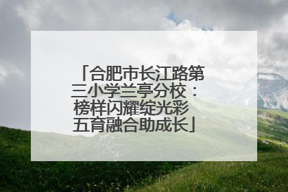 合肥市长江路第三小学兰亭分校：榜样闪耀绽光彩 五育融合助成长