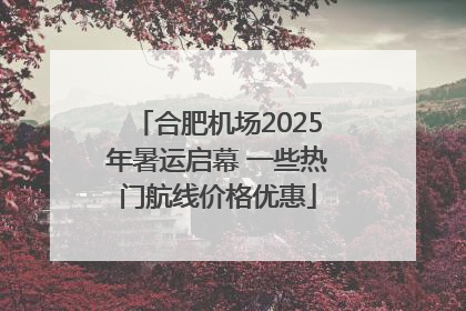 合肥机场2025年暑运启幕 一些热门航线价格优惠