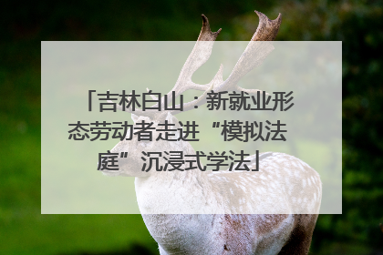 吉林白山：新就业形态劳动者走进“模拟法庭”沉浸式学法