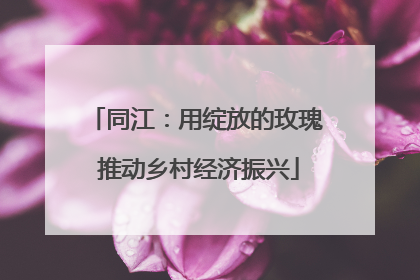 同江：用绽放的玫瑰 推动乡村经济振兴