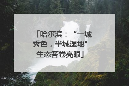 哈尔滨：“一城秀色，半城湿地”生态答卷亮眼